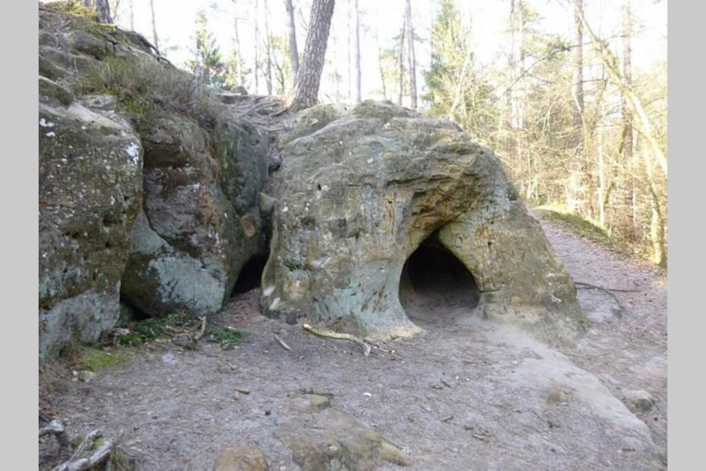 Le Repaire Des Herissons Vallee De Rabais ヴィルトン エクステリア 写真